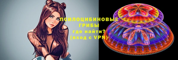крисы Вяземский