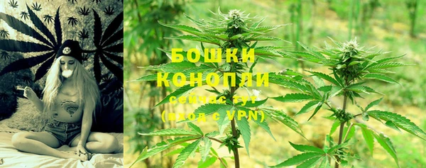 крисы Вяземский