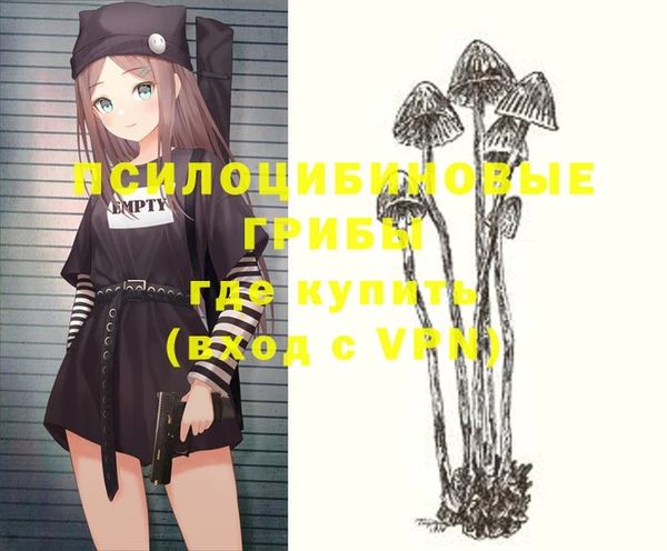 крисы Вяземский