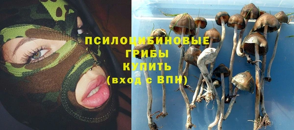 крисы Вяземский