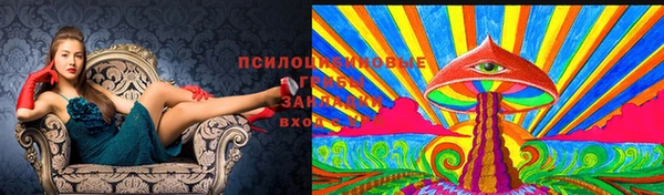крисы Вяземский