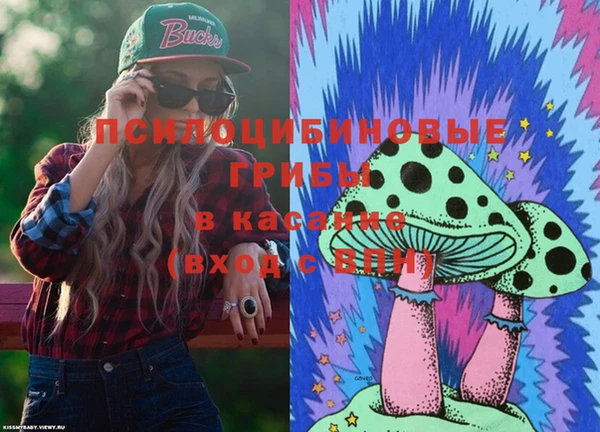 крисы Вяземский