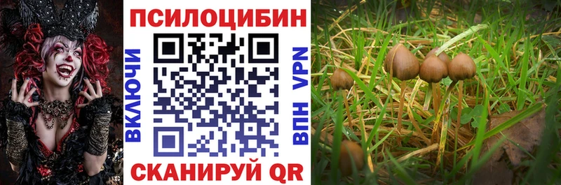 Галлюциногенные грибы Magic Shrooms  Гурьевск 