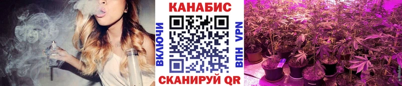 Конопля планчик Гурьевск